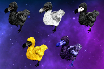 Ark Survival Ascended PVE Dodo TOP STATS