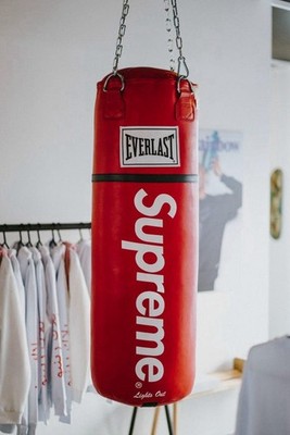 Supreme x Everlast Boxing Bag Red Punching Bag SS16 Mike Tayson