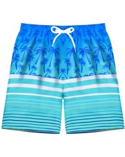 Boys Swim Trunks Board Shorts Teen Boys Swimsuit Quick Dry Swimwear Swimming ...