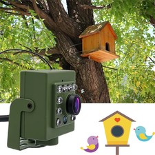 Grüne WLAN Vogelbox Kamera mit Nachtsicht und Audio zur Vogelbeobachtung        