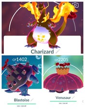 Pok mon Go - Gigantamax Charizard, Blastoise, Venusaur, Gengar Regular  Shiny