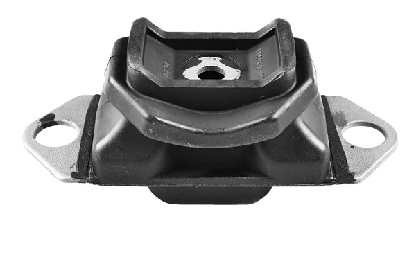 Tedgum TED81181 Engine Mounting For Nissan-image