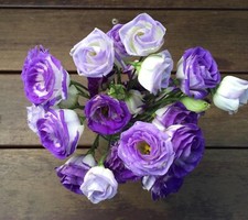 20 Purple and White Lisianthus Flower Seeds for Planting - Pelleted Seed