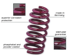Vogtland Mustang Lowering Springs GT500