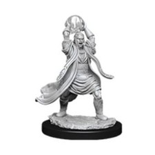WizKids D D Mini 28mm Elf Male Sorcerer Pack New