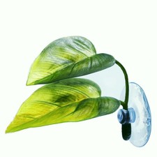 Betta Fish Leaf Pad Simulating The Natural Habitat for Betta Spawning Grounds...