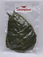 Mulberry leaves nano, 10 pieces, Shrimp Natural Food