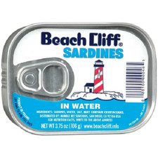 Beach Cliff Sardines in Water
