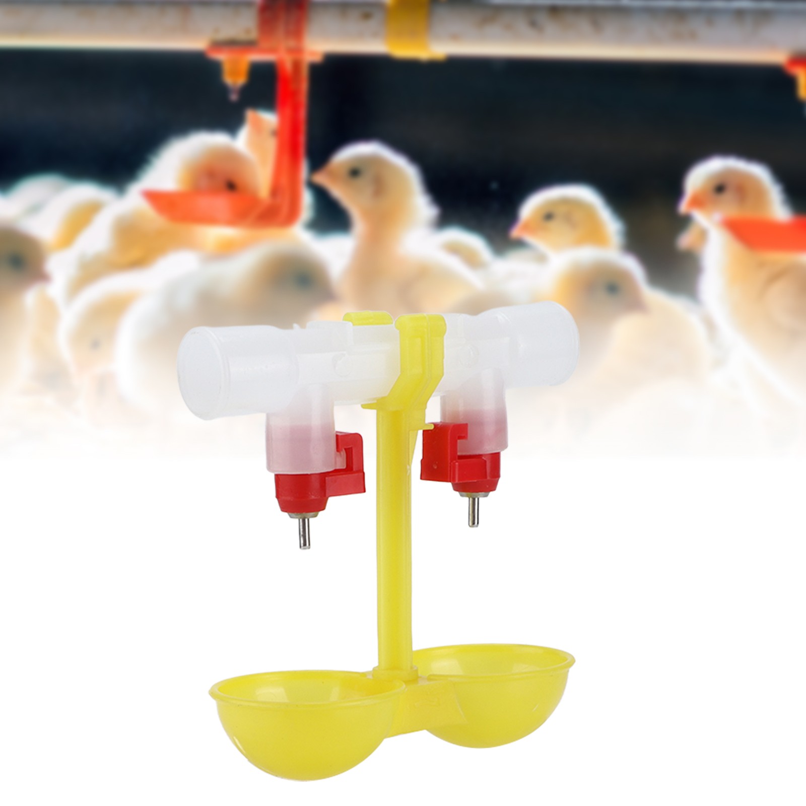 Double Chicken Nipple Waterer Drinker Automatic Hanging Drinking Cups For