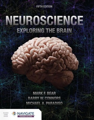 Neuroscience Exploring the Brain - 5th Edition 2025 Bear Connors Paradiso