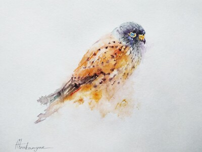 Kestrel, Birds, Watercolor artwork, Handmade, Original painting on paper