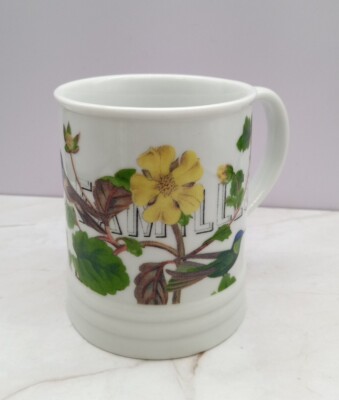 FRINGE Musée Des Familles. Rue L. Roch Paris Coffee  Mug 