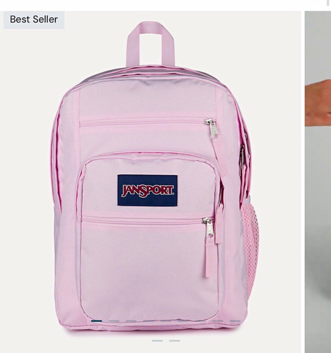 JanSport SuperBreak Plus Pink Solid Polyester Backpack, Zip Closure