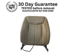 2006-2011 Cadillac Dts Front Right Passenger Seat Back Upper Cushion Shale Oem 2006-2011 Cadillac Dts Front Right Passenger Seat Back Upper Cushion Shale Oem