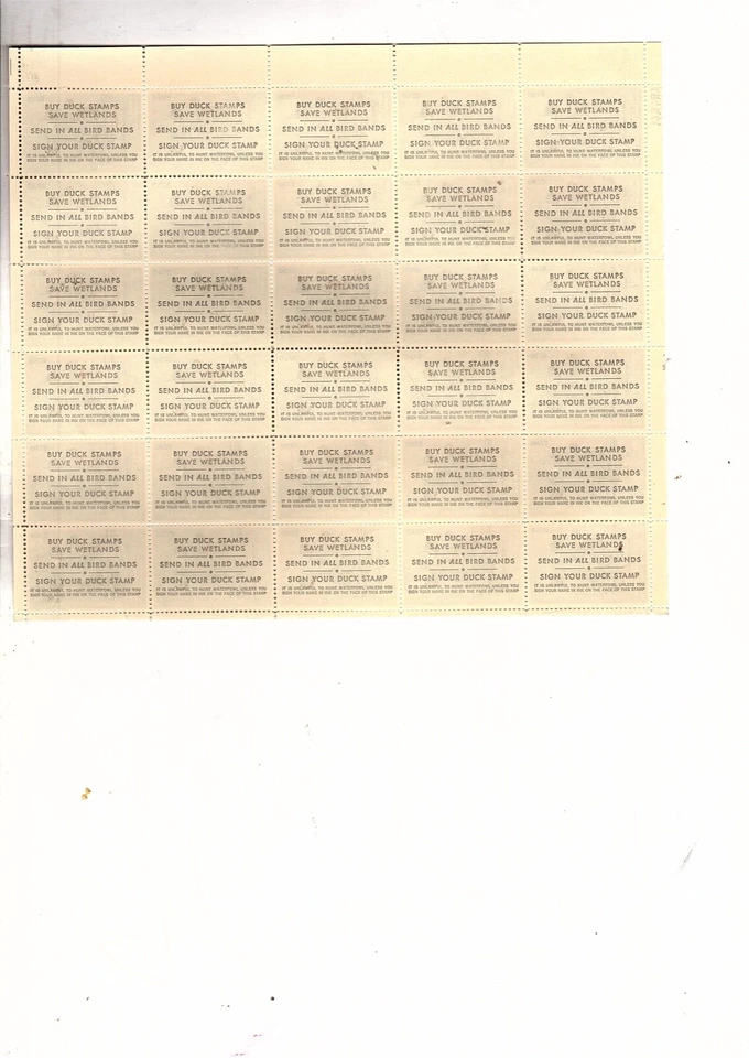 US RW50 duck STAMP sheet of 30 $7.50 Dollar 1984 pintails bob (mb31 - Image 2 of 2