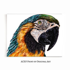 ACEO Print of Original Art Parrot Blue and Gold Macaw Collectible Card, Mini Art