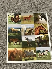 Vintage Hallmark Sticker Sheet Horses