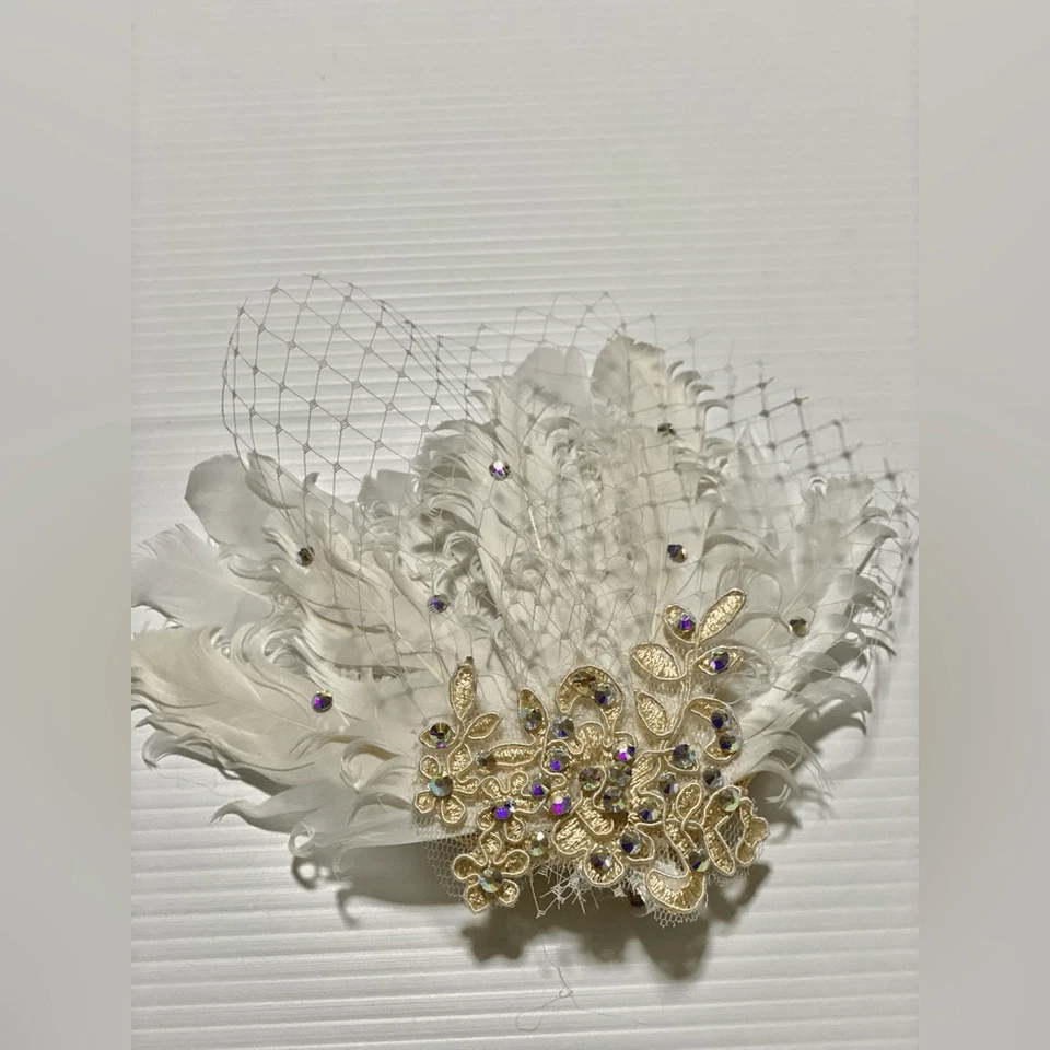 Jaula de pájaros velo encaje pluma fascinador accesorio para el cabello baile nupcial aleta formal Foto 2 de 4