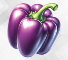 Purple Bell Pepper Wall vinyl sticker decal mr125