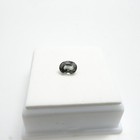 Bild 7 von 8