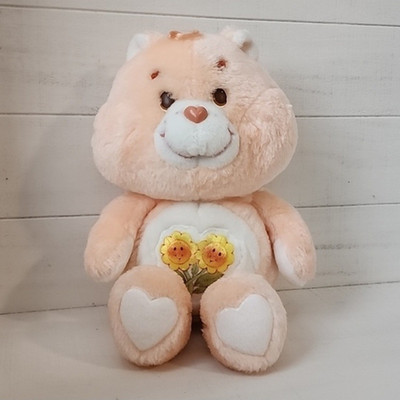 Care Bears Friend Bear 13 in Plush Bear 1983 American Greetings Kenner