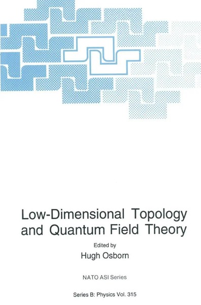 Hugh Osborn | Low-Dimensional Topology And Quantum Field Theory | Taschenbuch-image