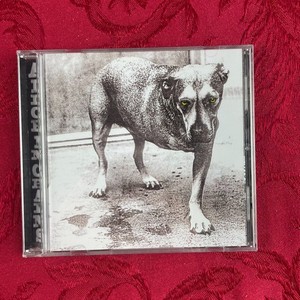 Alice Chains Again | eBay