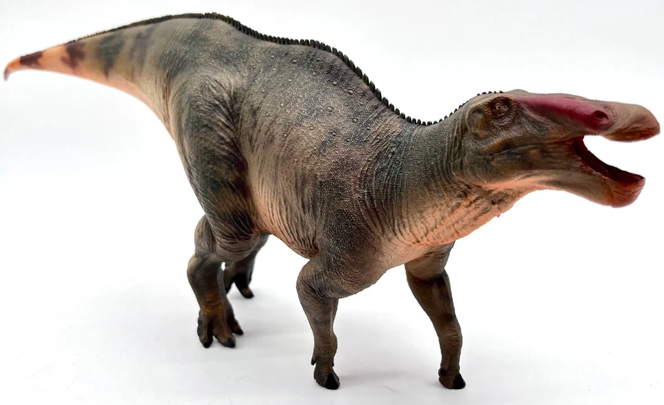 Haolonggood Shantugosaurus Dinosaur Figures 1:35 Scale Model HLG-187 - Image 2 of 4