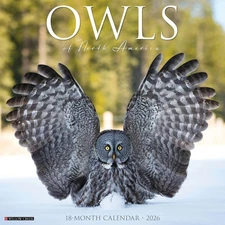 Owls 2026 12" x 12" Wall Calendar (free shipping)