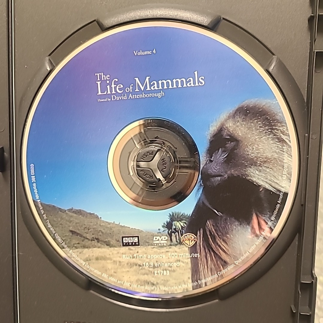 洋画・外国映画 DVD BBC THE LIFE OF MAMMALS The Life of Mammals (TV Mini Series 2002–2003) - User