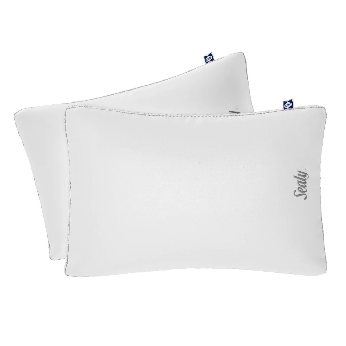 the pillows 会報　VOL.88〜90 Serta® Down Essence Medium Bed Pillow
