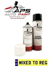 Aerosol Spray Paint Kit Mixed By Car Registration Reg VIN Plate Chassis Number