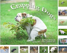 Gag Gifts - Calendar 2025, White Elephant Gifts, 2025 Calendar, 2025 Wall Calend