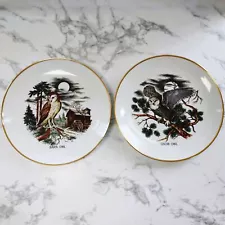 Vintage 1988 Decorative Owl Plates - Jewell's Gems