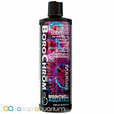 Brightwell Aquatics BoroChrom 250mL Liquid Boron Solution for Coral Colors