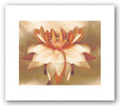Waterlily Betsy Cameron Art Print 9x12 | eBay