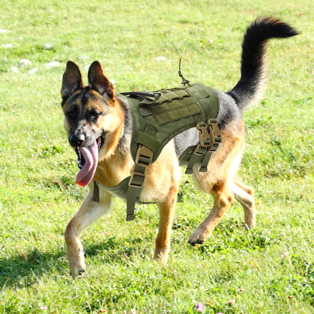 Dog Harness German Shepherd Eye-catching
