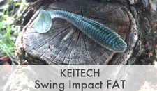 KEITECH Swing Impact Fat Ring Body Worm 2.8" 3.3" 3.8" 4.3" 4.8" 5.8" From Japan