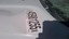 Bild 6 von 8