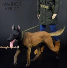 Mr.Z 1:6 MALINOIS cane 2.0 modello animale resina simulazione statua figura ornamento