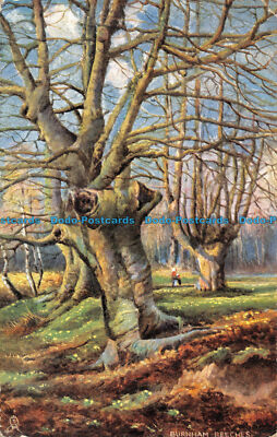 R161169 Burnham Beeches. Tuck. Oilette. 1905