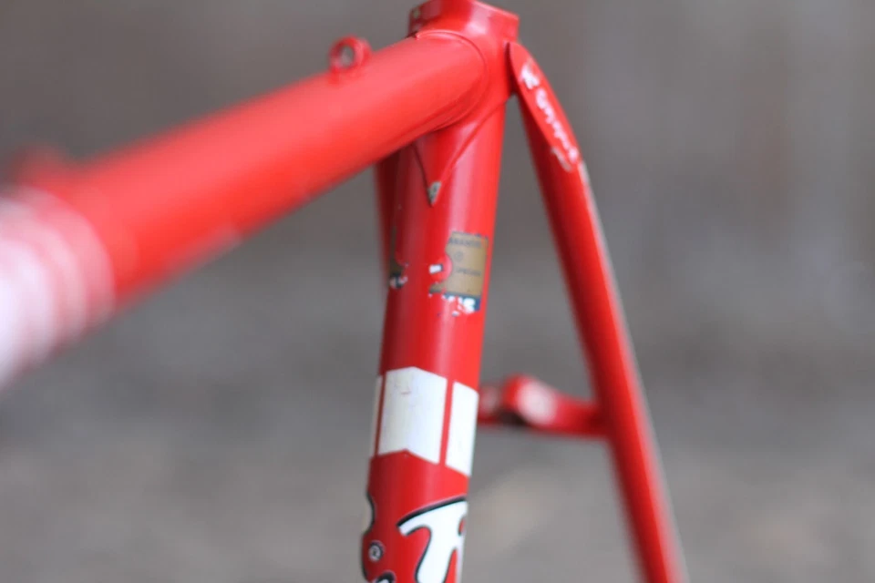 Rossin Record Frame / Columbus / Red / 51,5 cm / Campagnolo / super ghibli c - Bild 4 von 4