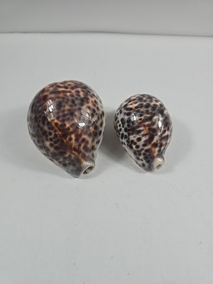 2 Leopard Design Porcelin Sea Snail Shell Figurine Nautical Brown Cream White