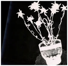 Photogram silver print 21x21.5 circa 1940 silver print