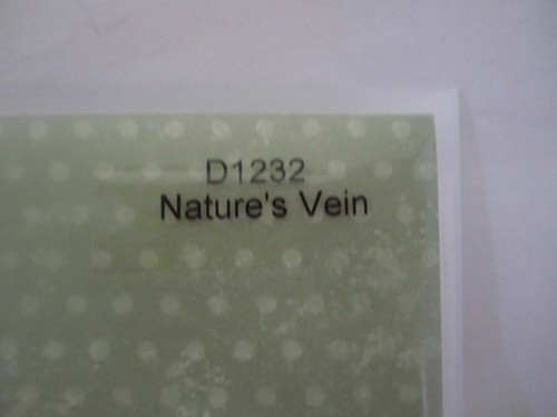 CLOSE TO MY HEART CTMH D "D" SERIES Stamp Sets You Pick the One You Want (#3) - Picture 11 of 85