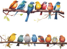 Watercolor Birds Wall Decals 2 Pack Peel Stick Vinyl Stickers for Kids Room