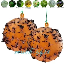 Bug Fruit Fly Traps Sticky Ball Fungus Gnat Pest Control Ball for Indoor Outdoor