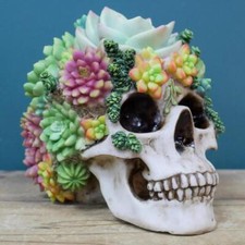 Succulent Gothic Skull Ornament Resin Floral Head Figurine Halloween Home Decor