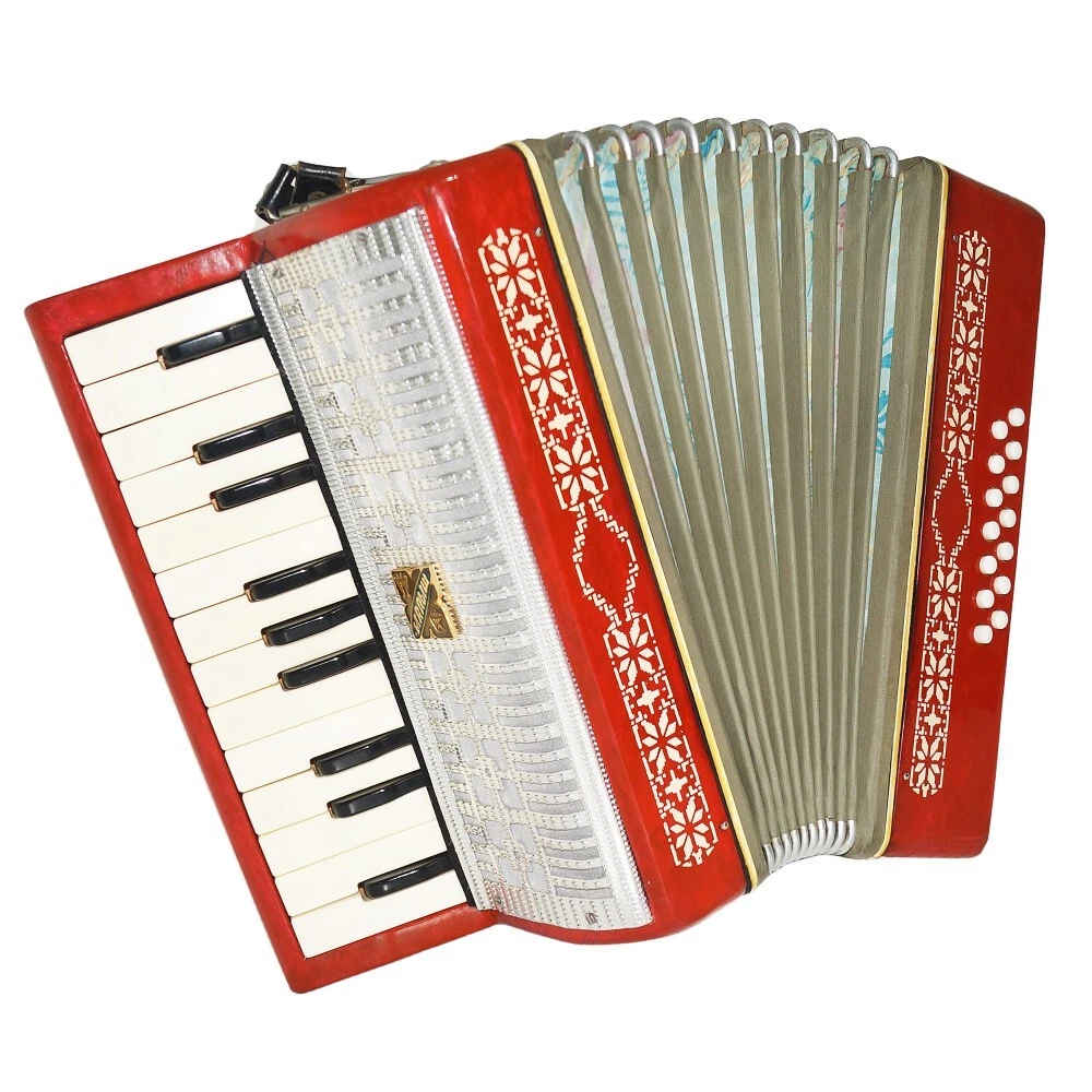 Russian Piano Accordion Malysh Small Accordion Beginners Children