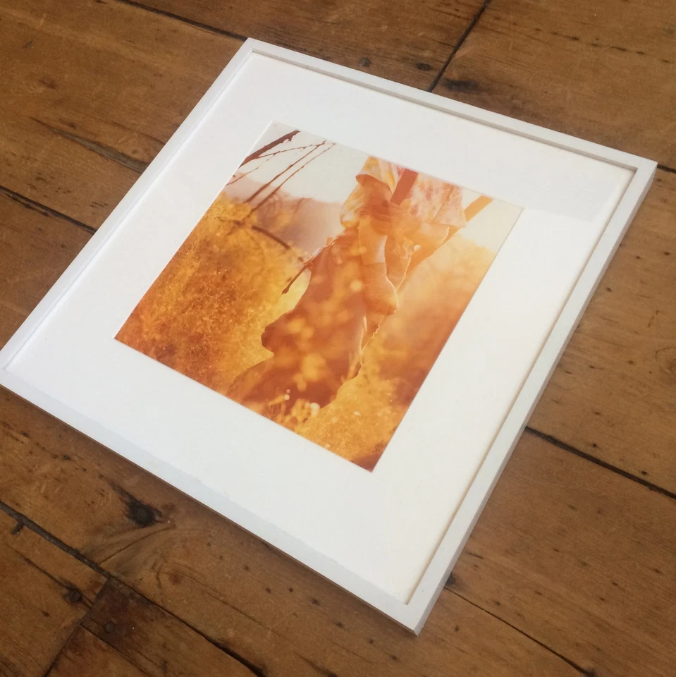 Fotografía de Christopher LaMarca de la serie Forest Defenders, firmada Foto 3 de 4